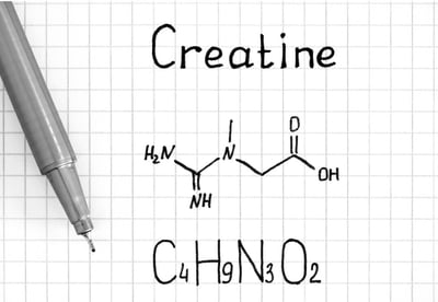 Supplemental Creatine: A Performance Perspective from a Doctor of PT
